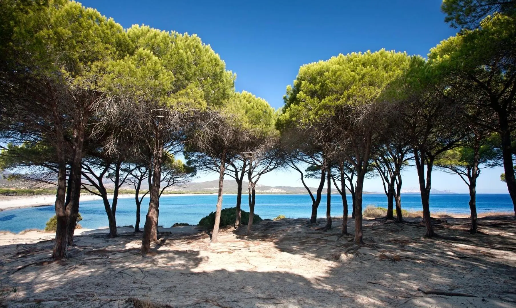 شقة Budoni Mare, Parcheggio E Wifi Gratis